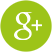 icon google